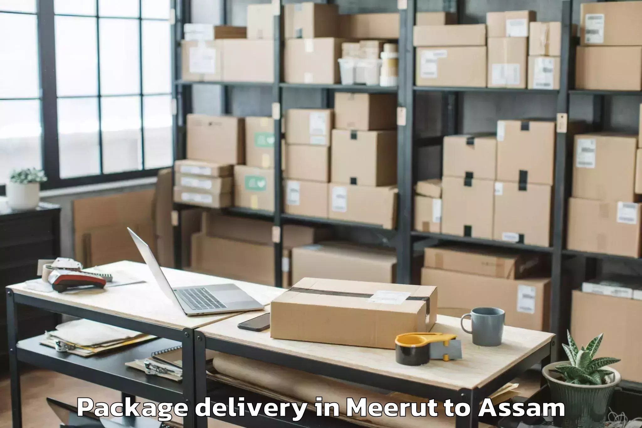 Reliable Meerut to Tingkhong Package Delivery